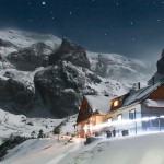 Inima de porc cu sos de soia