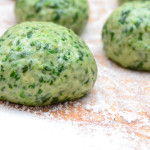 Hamish the wonder dog