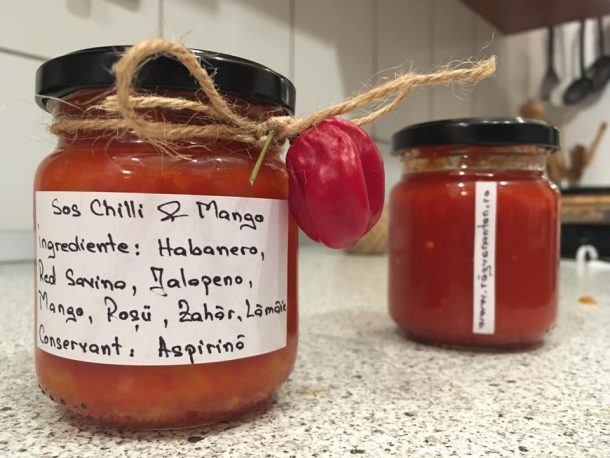 14463006_10202148099860713_4237212978341367799_n