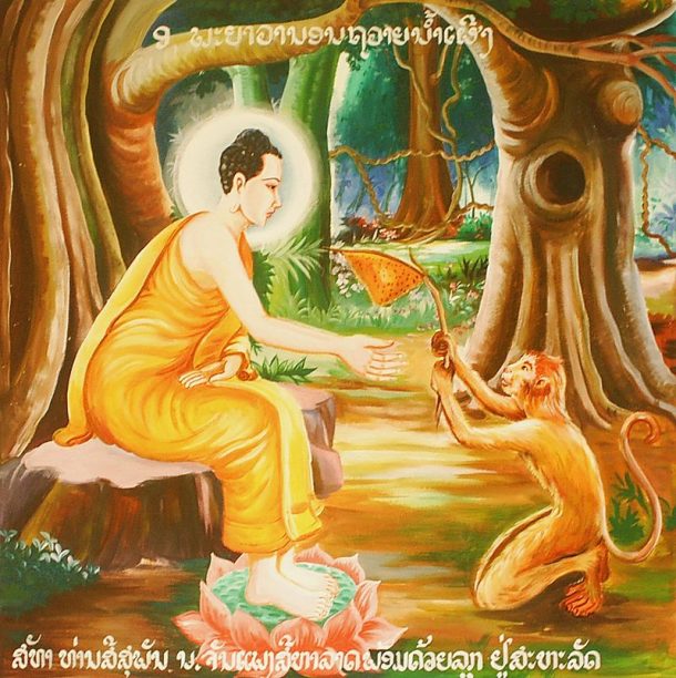 800px-Buddha_with_monkey
