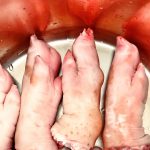 Rulouri cu ou si lapti de peste