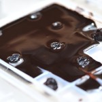 Cronica unei excursii